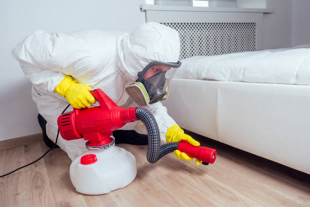 Best Bed Bug Extermination  in Southgate, FL